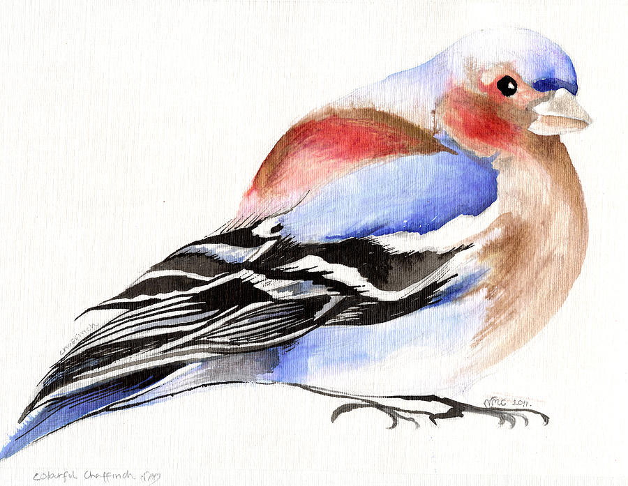 Finch Painting - Colorful Chaffinch by Nancy Moniz