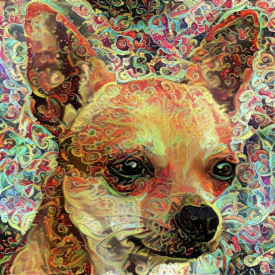 Colorful Chihuahua Abstract Dog Portrait Photograph by Peggy Collins