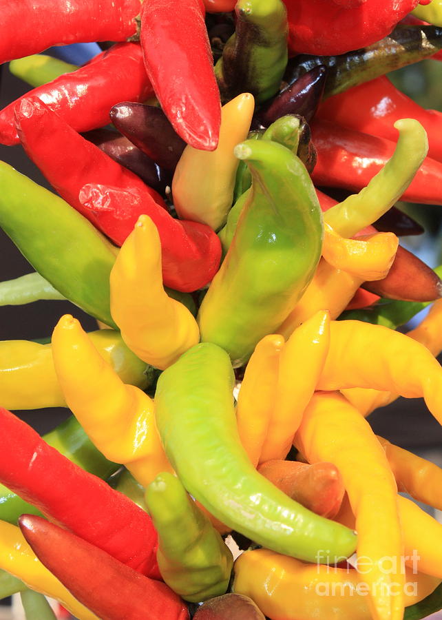 Colorful Chili Peppers  Photograph by Carol Groenen