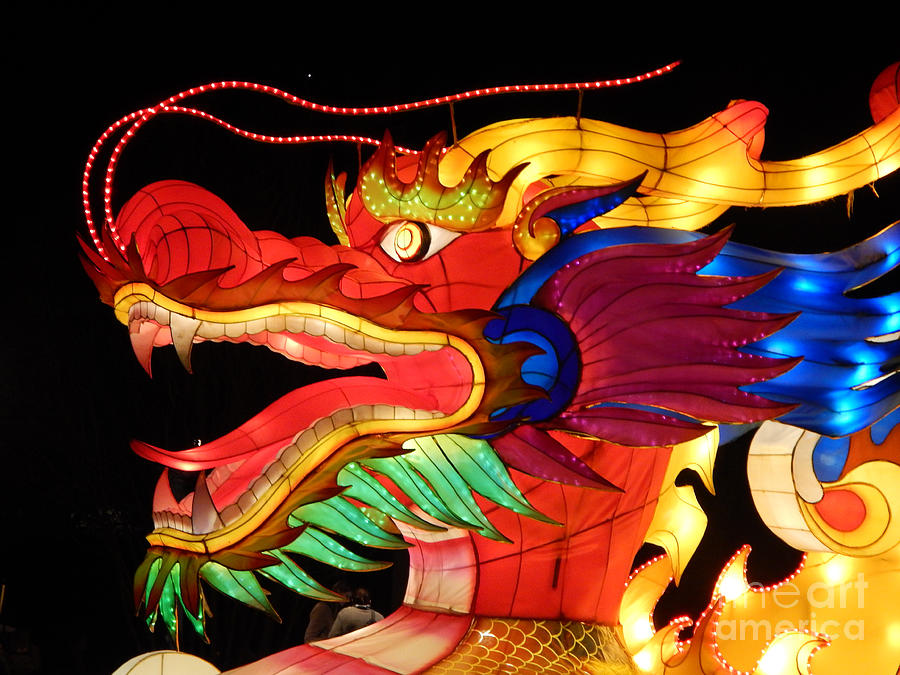 Colorful Chinese Dragon Photograph by Amy Dundon
