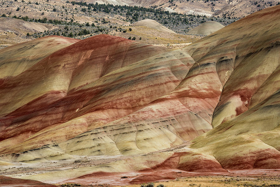 Colorful Claystone Hills Photograph by Robert Potts