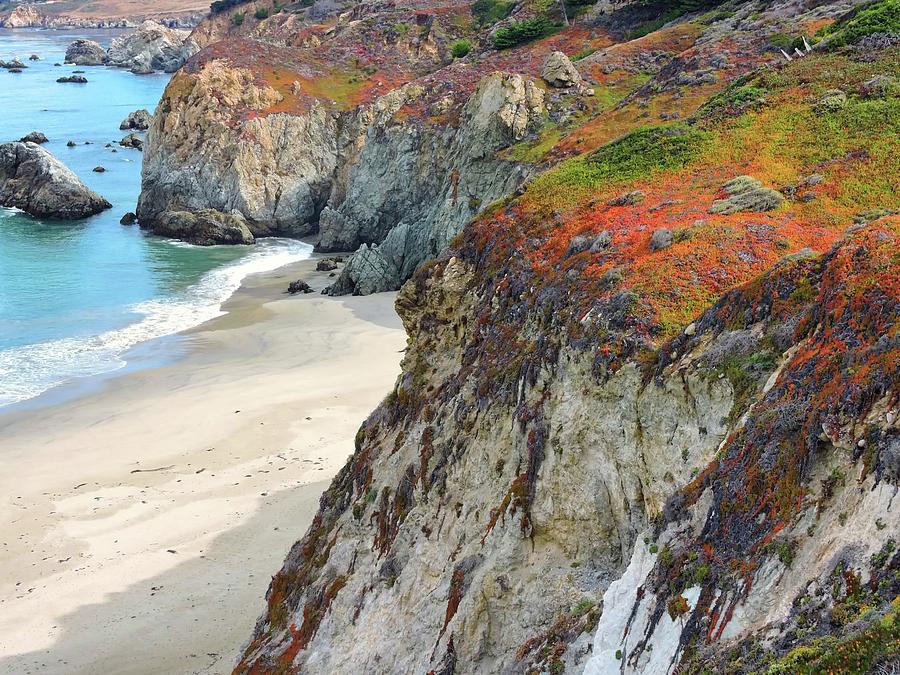 Colorful Coast Photograph by Connor Beekman