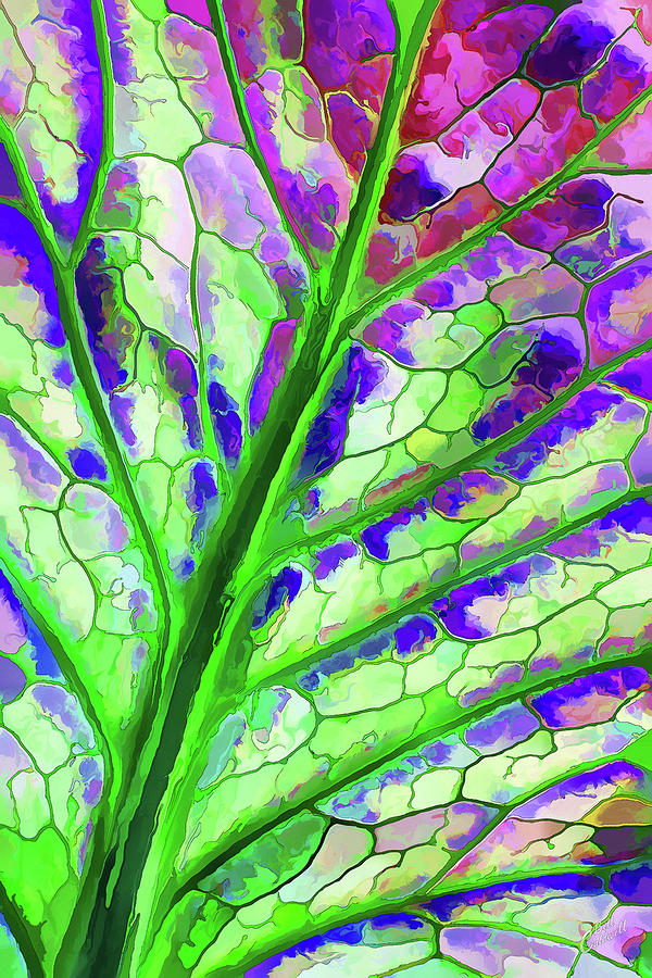 Colorful Coleus Abstract 4 Digital Art by ABeautifulSky Photography by Bill Caldwell