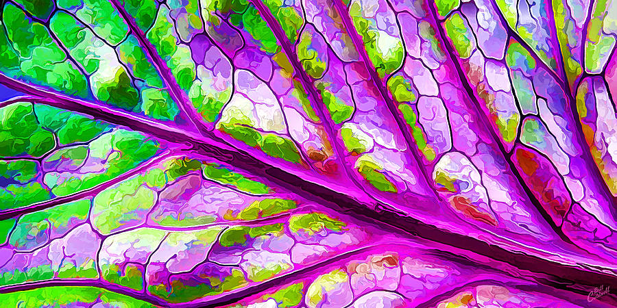 Colorful Coleus Abstract 2 Digital Art by ABeautifulSky Photography by Bill Caldwell