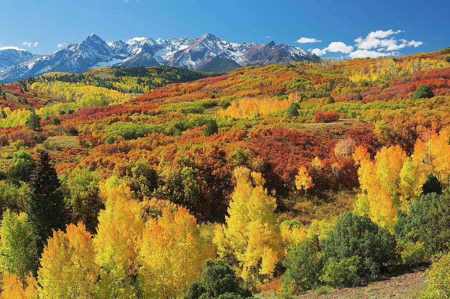 Colorful Colorado At It's Best 2 by John Hoffman Colorful Colorado At It's Best 2 by John Hoffman