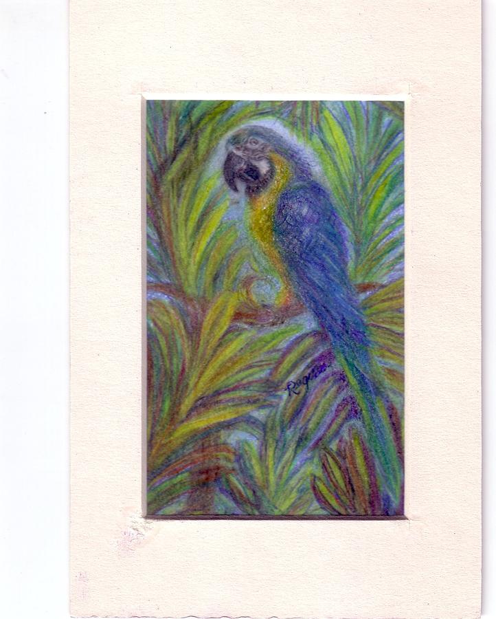 Blue And Gold Macaw Painting - Colorful Conversationalist by Regina Taormino