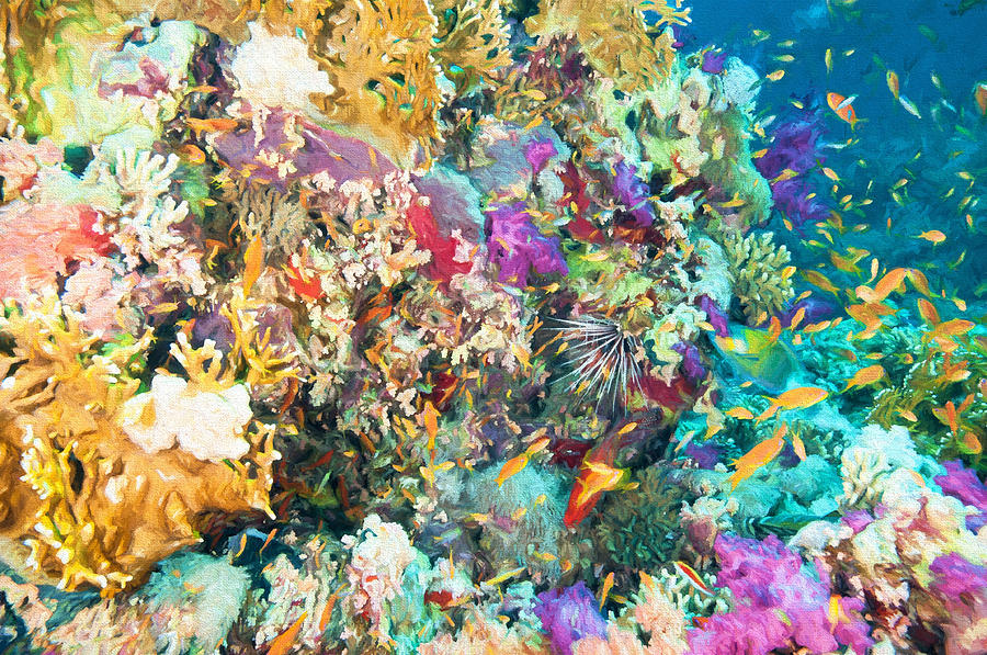 Colorful Coral Reef Digital Art by Roy Pedersen