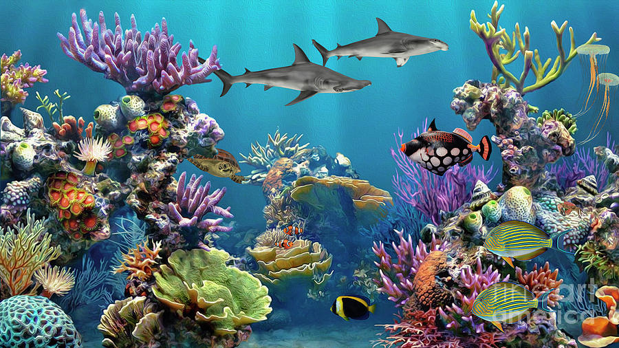 Hammerhead Shark Digital Art - Colorful Coral Reef by Walter Colvin