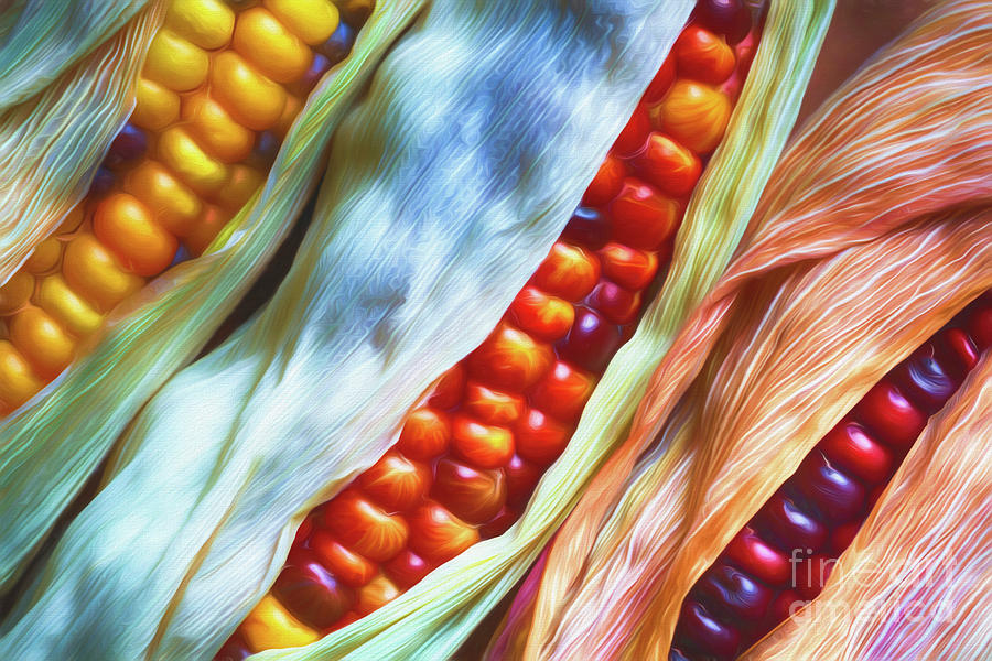 Colorful Corn 3 Digital Art