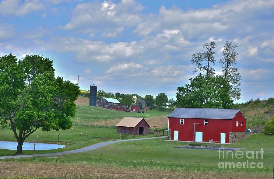 Colorful Pennsylvania Country Scene Photograph by Bob Sample