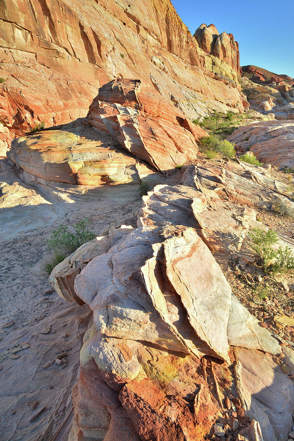 Colorful Crests of Sandstone in Valley of Fire Photograph by Ray Mathis