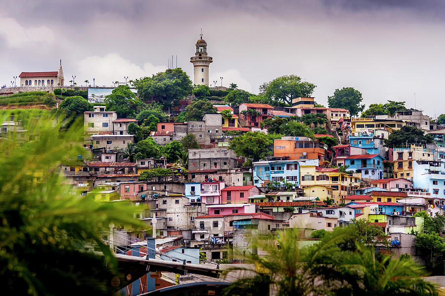 Colorful Houses on the Hill Photograph by Daniel Murphy