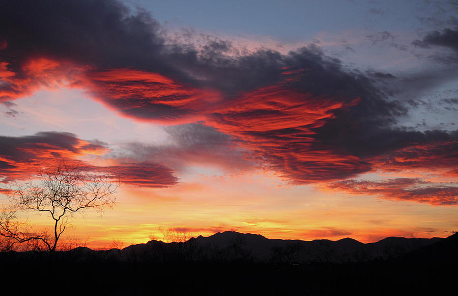 Colorful Dawn Over New Mexicos Peloncillo Mountains Photograph by Steve Wolfe