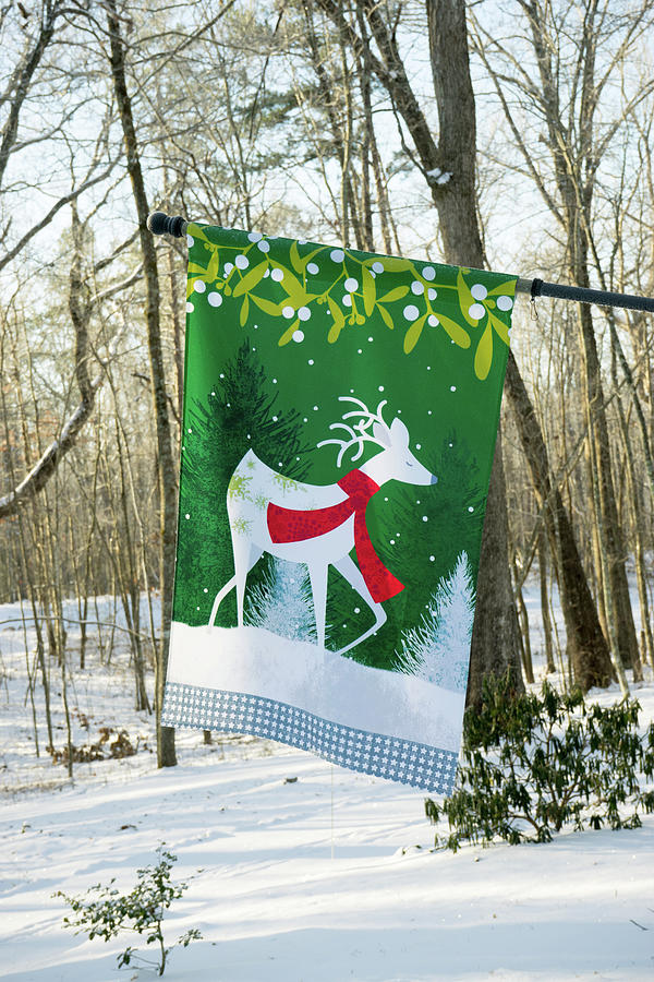 Colorful Deer Flag in the Winter Snow Photograph by Douglas Barnett