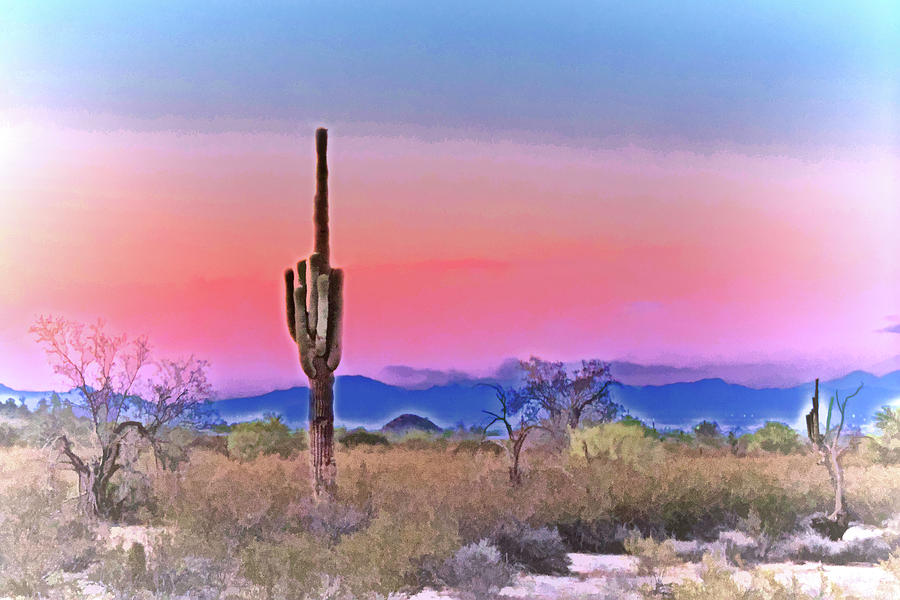 Colorful Desert Photograph