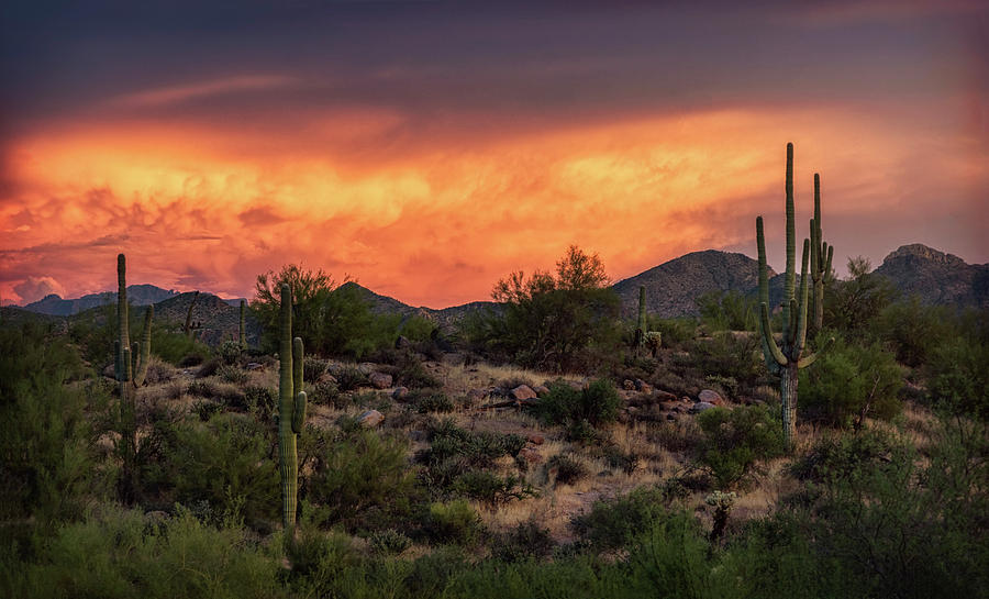 Colorful Desert Skies at Sunset  Photograph by Saija Lehtonen