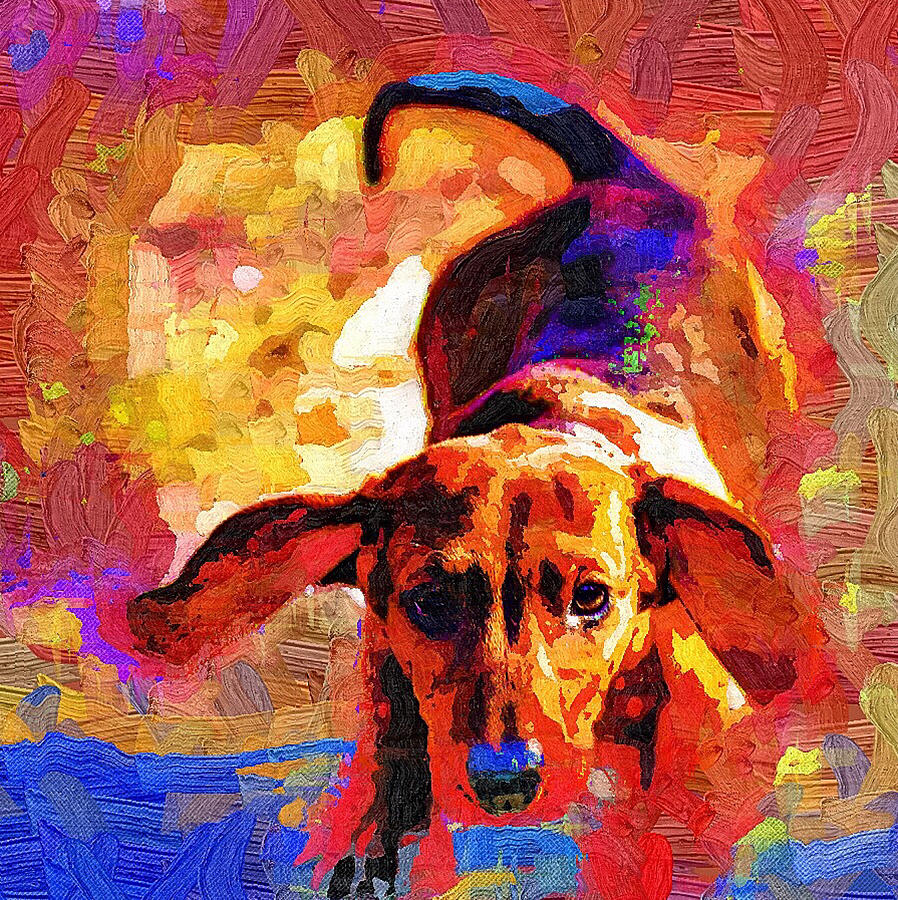 Colorful Dog Digital Art By Yury Malkov - Fine Art America