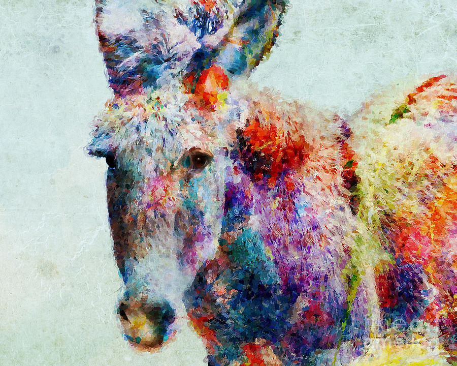 Colorful Donkey Art Mixed Media by Olga Hamilton