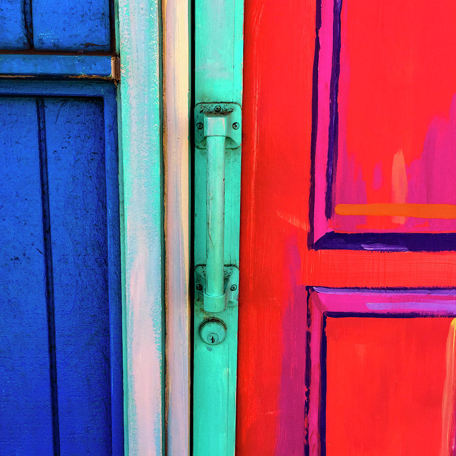 Bright Mixed Media - Colorful Doors Real and Otherwise by Carol Leigh