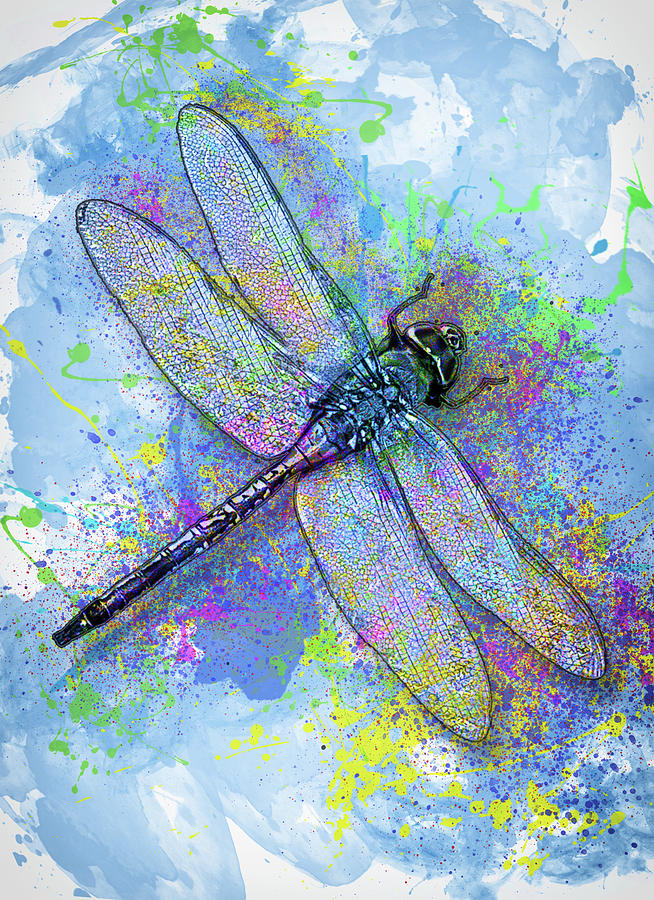 Insects Painting - Colorful Dragonfly by Jack Zulli