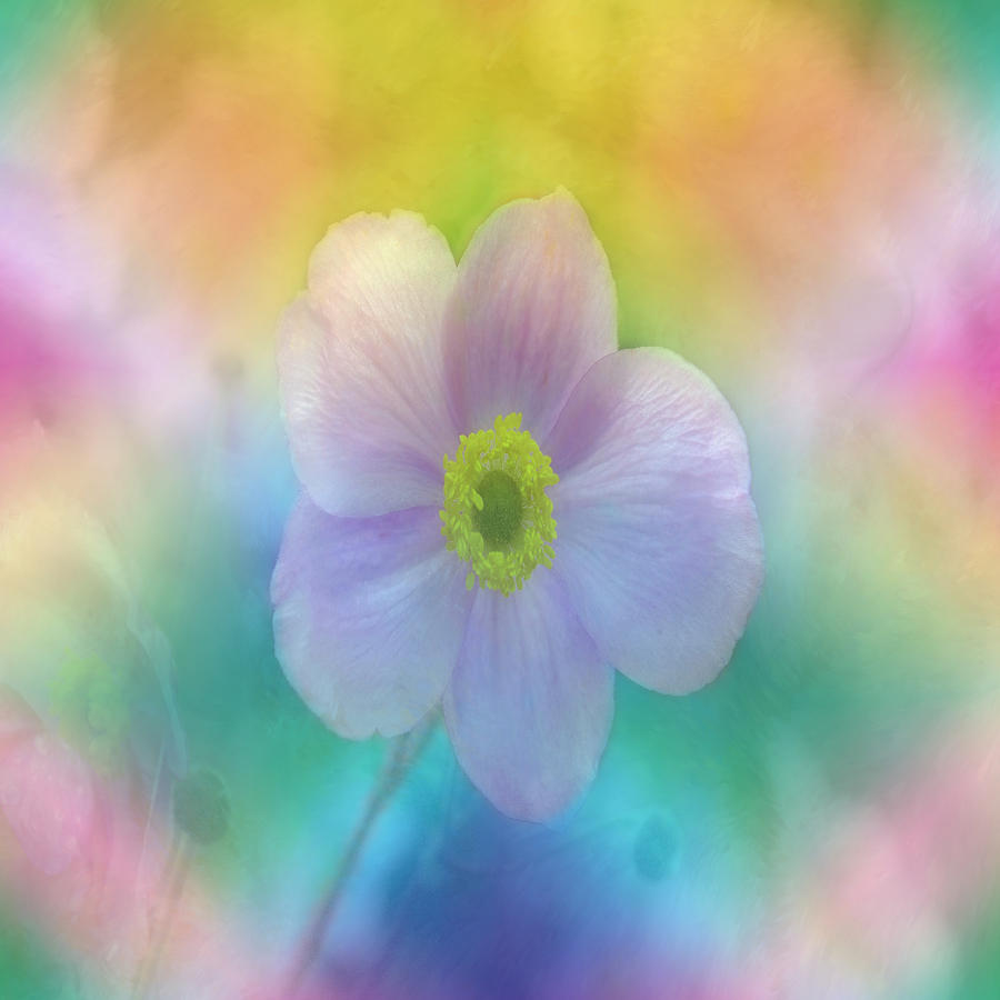Nature Digital Art - Colorful Dreams by Lena Photo Art