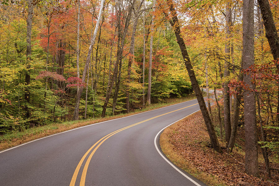 Colorful Drive Photograph by Jody Partin
