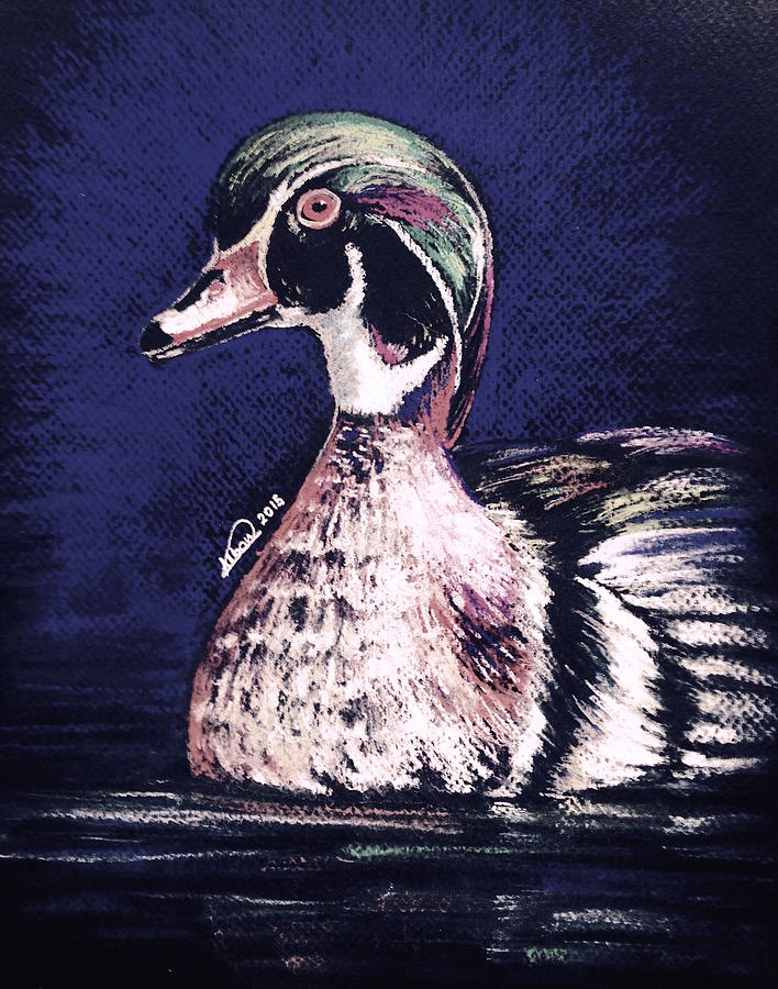 Bird Drawing - Colorful Duck by Alban Dizdari