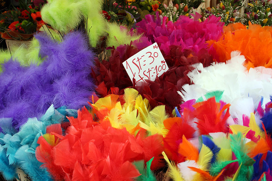 Colorful Easter Feathers Photograph by Linda Woods