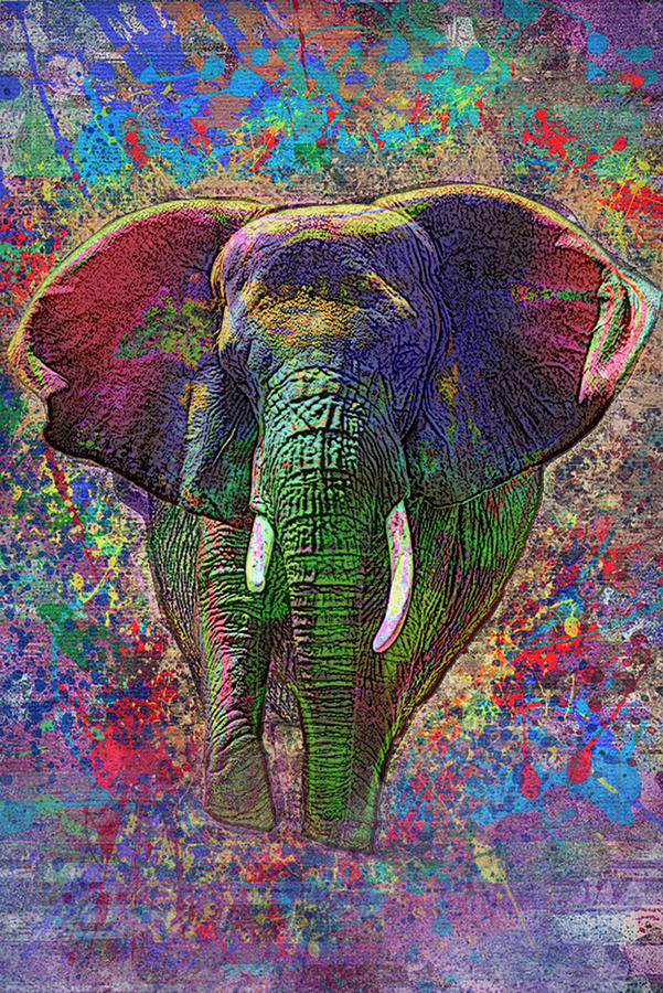 Colorful Elephant Painting by Jack Zulli