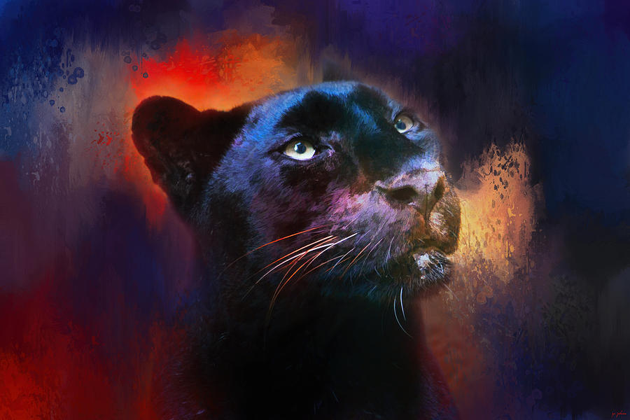 Colorful Expressions Black Leopard Photograph by Jai Johnson