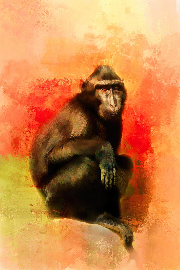Abstract Photograph - Colorful Expressions Black Monkey by Jai Johnson