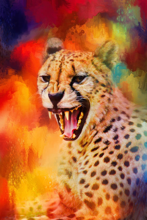 Cheetah Photograph - Colorful Expressions Cheetah 2 by Jai Johnson