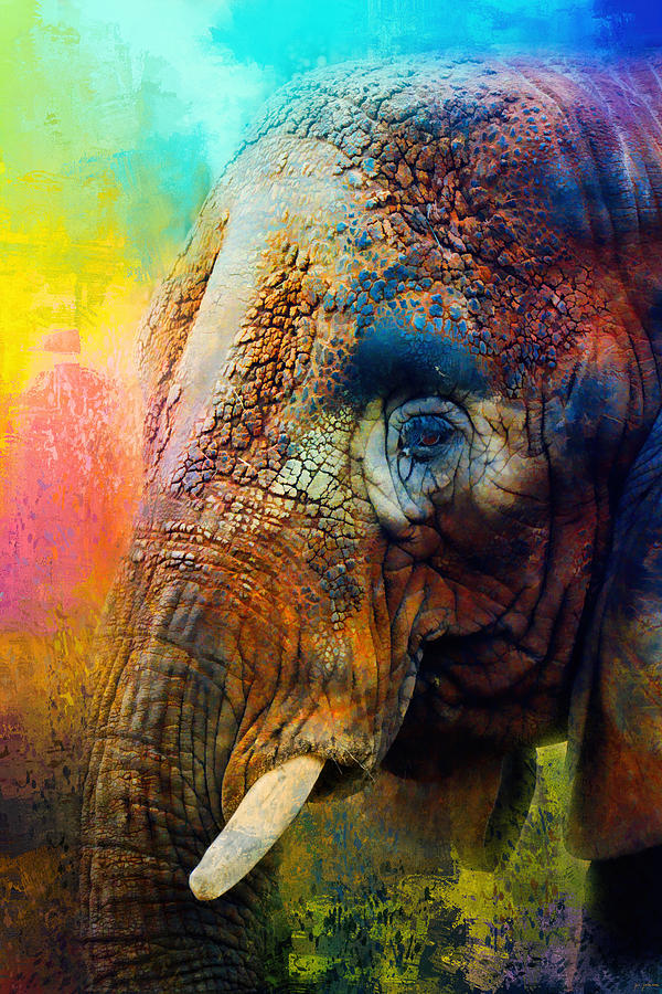 Abstract Photograph - Colorful Expressions Elephant by Jai Johnson