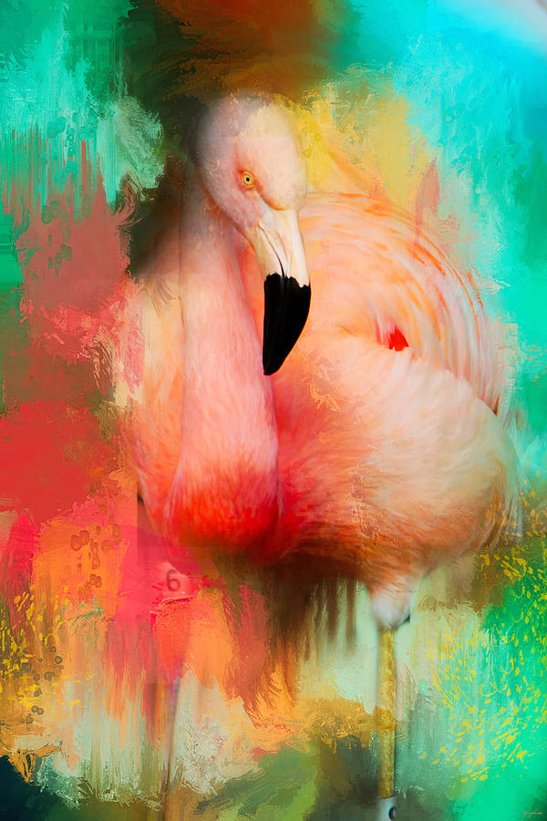 Abstract Photograph - Colorful Expressions Flamingo by Jai Johnson