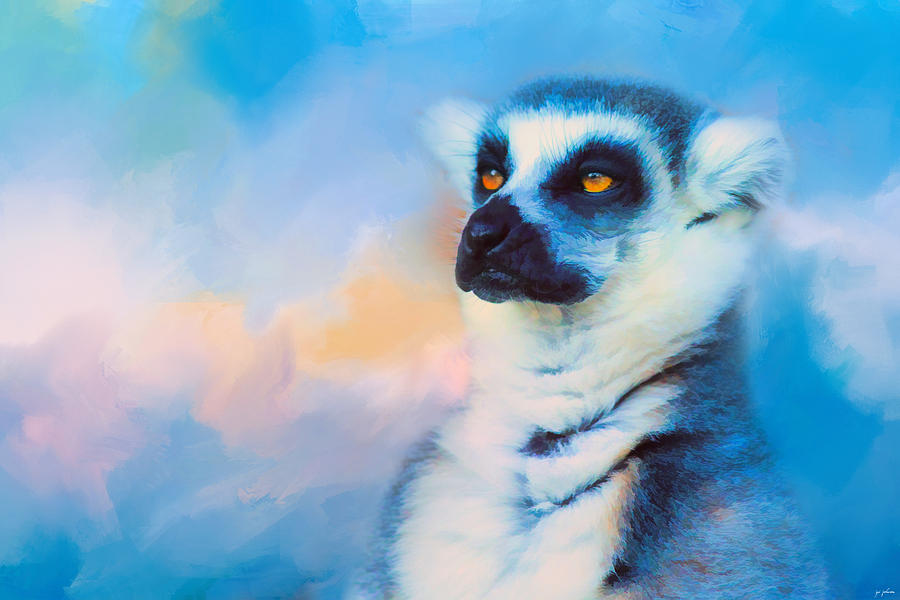 Colorful Expressions Lemur Photograph by Jai Johnson