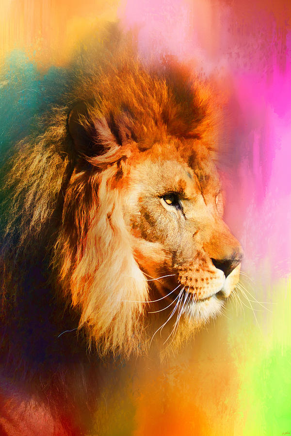 Lion Photograph - Colorful Expressions Lion by Jai Johnson