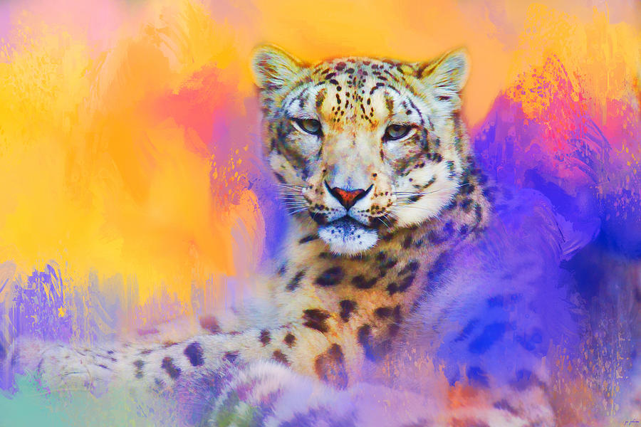 Leopard Photograph - Colorful Expressions Snow Leopard by Jai Johnson