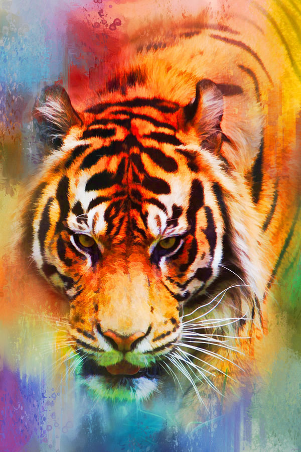 Nature Photograph - Colorful Expressions Tiger by Jai Johnson