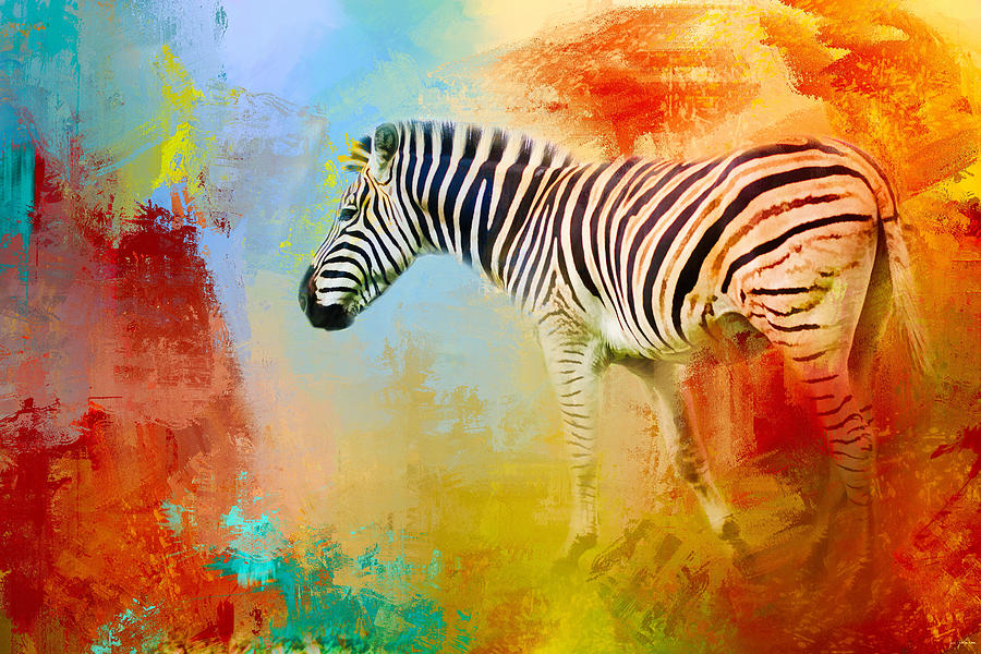Abstract Photograph - Colorful Expressions Zebra by Jai Johnson