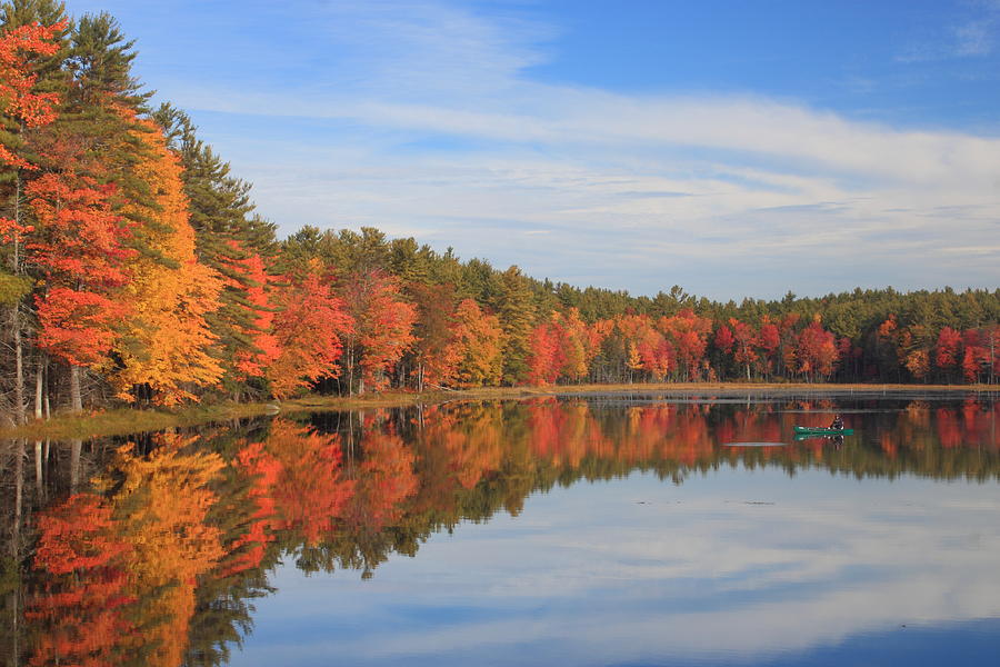 Colorful Fall Foliage at Birch Hill Beaver Pond Photograph by John Burk
