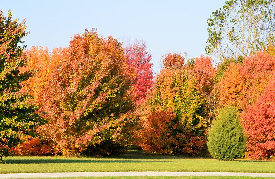 Colorful Fall Photograph by Linda Benoit - Fine Art America