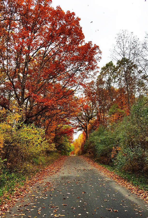 Landscape Photograph - Colorful fall by Yazid Ismail Landscape Photograph - Colorful fall by Yazid Ismail