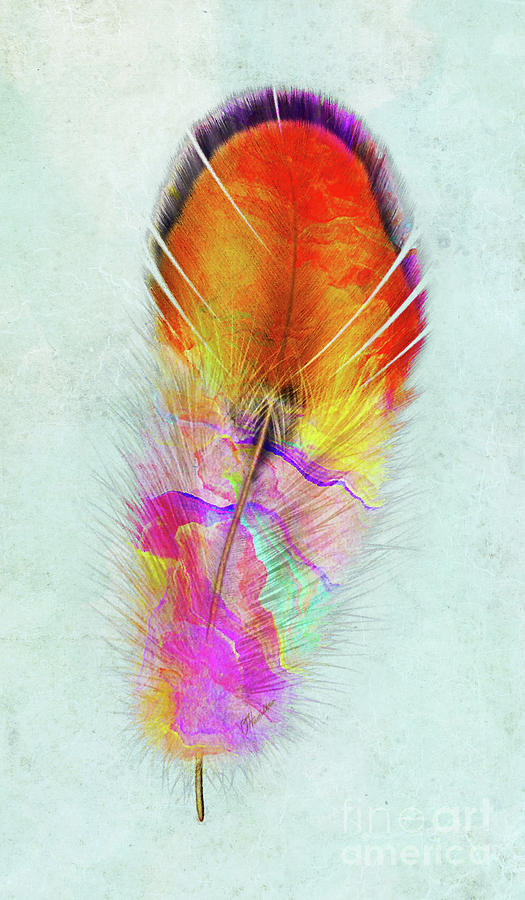 Colorful Feather Art Mixed Media by Olga Hamilton