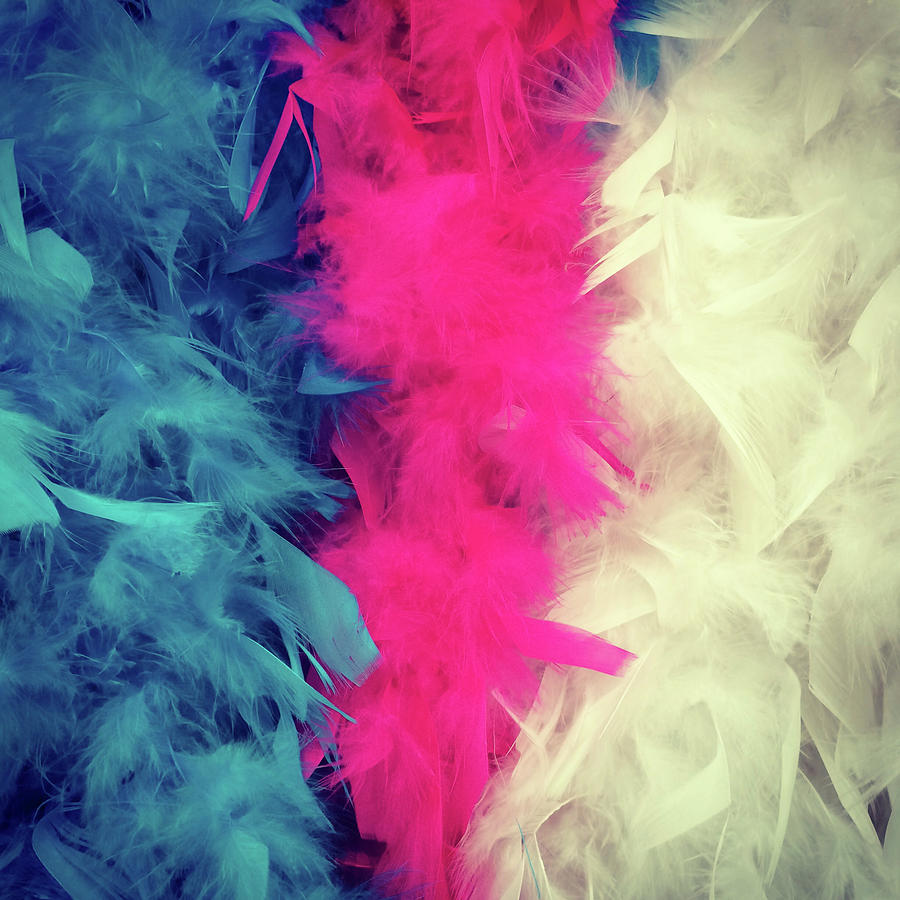 Feather Photograph - Colorful feather boa by GoodMood Art