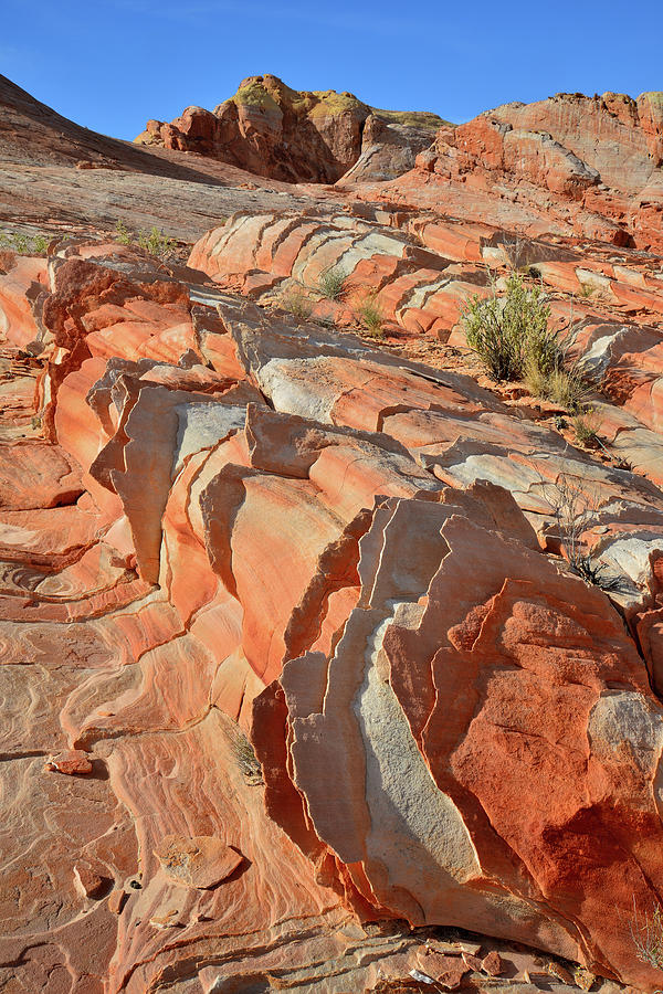 Colorful Finned Sandstone in Valley of Fire Photograph by Ray Mathis