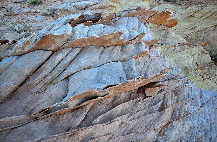 Las Vegas Photograph - Colorful Fins of Sandstone in Valley of Fire by Ray Mathis