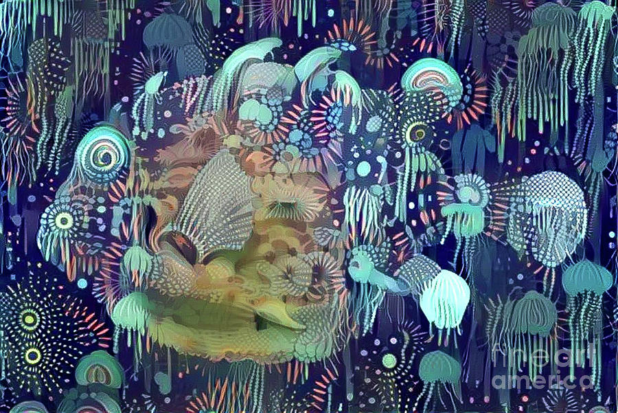 Fish Digital Art - Colorful Fish by Amy Cicconi