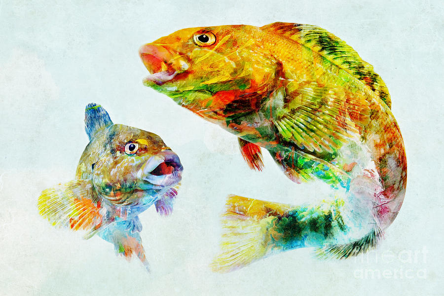 Nautical Animals Mixed Media - Colorful Fish Art by Olga Hamilton