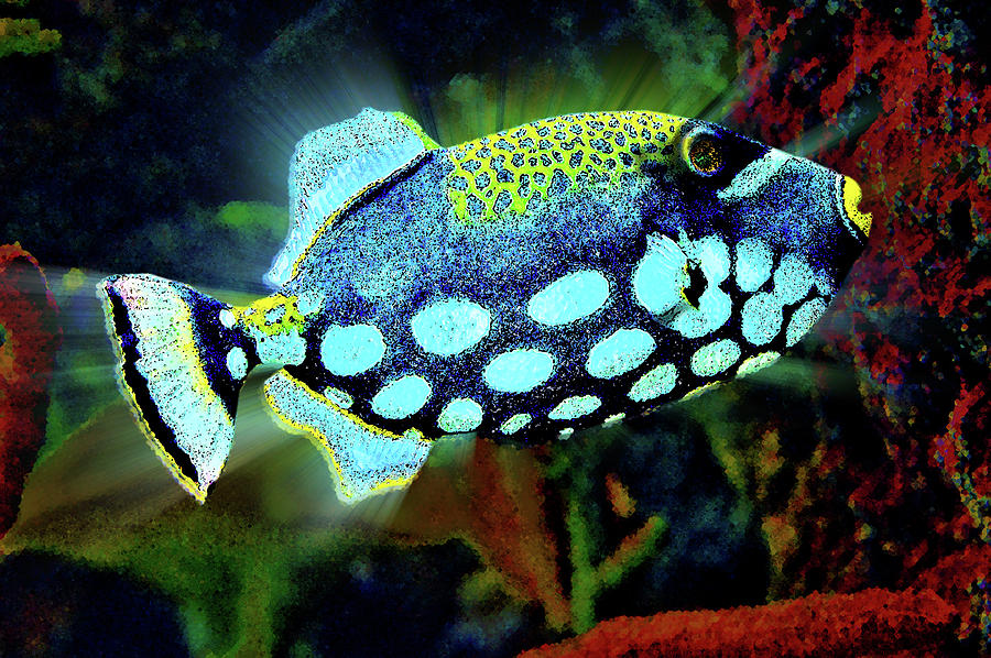 Colorful Fish. On The Seabed by Andy i Za - Royalty Free and