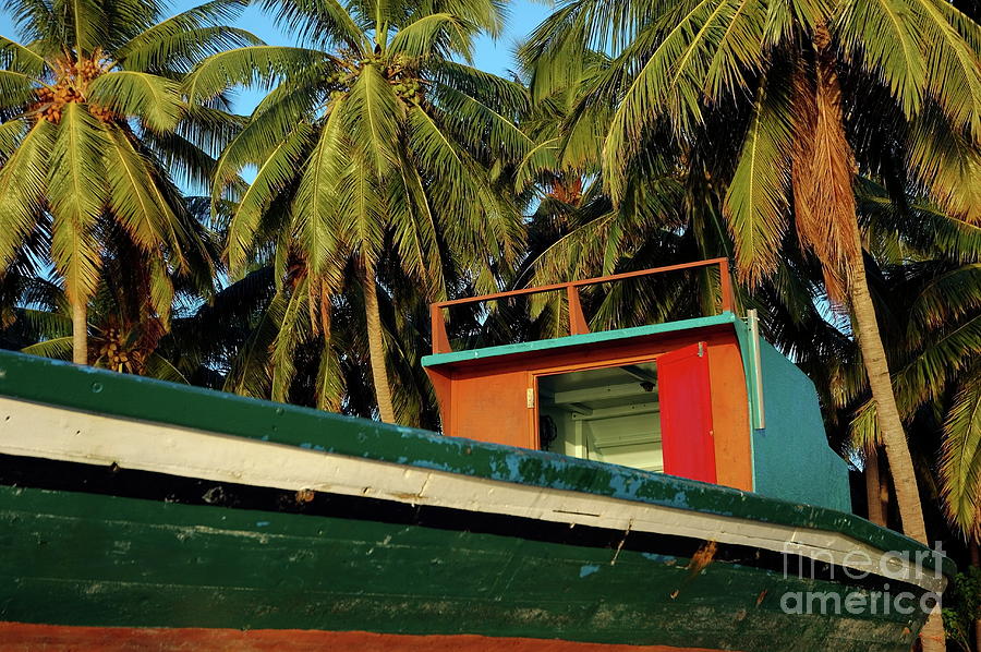 Colorful fishing boat surrounded by palm tress in Maldives Photograph by Sami Sarkis